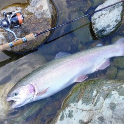 なんとか６０オーバーをキャッチ